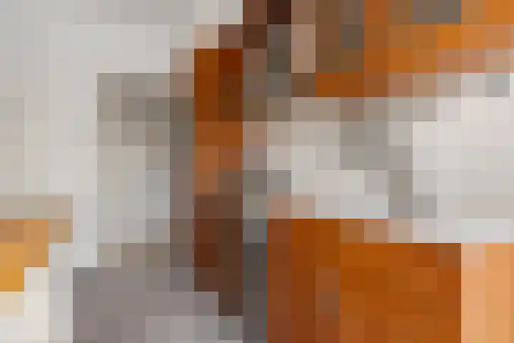 Meeuwenstraat 12 Foxhol thumbnail 24