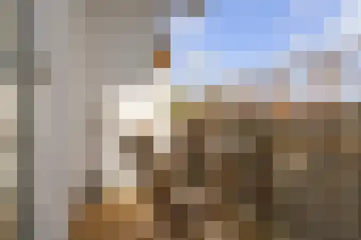Meeuwenstraat 12 Foxhol thumbnail 26