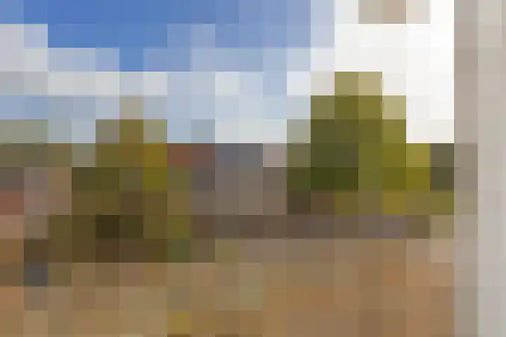 Meeuwenstraat 12 Foxhol thumbnail 27