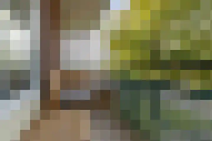 Meeuwenstraat 12 Foxhol thumbnail 29