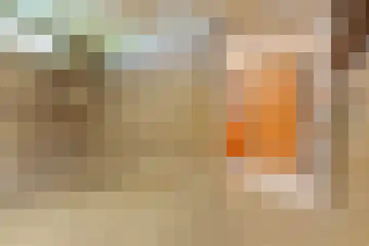 Meeuwenstraat 12 Foxhol thumbnail 33