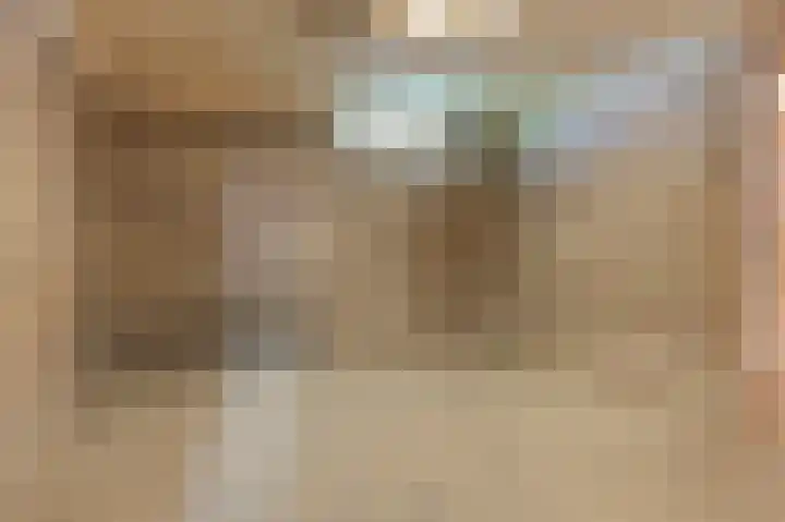 Meeuwenstraat 12 Foxhol thumbnail 34