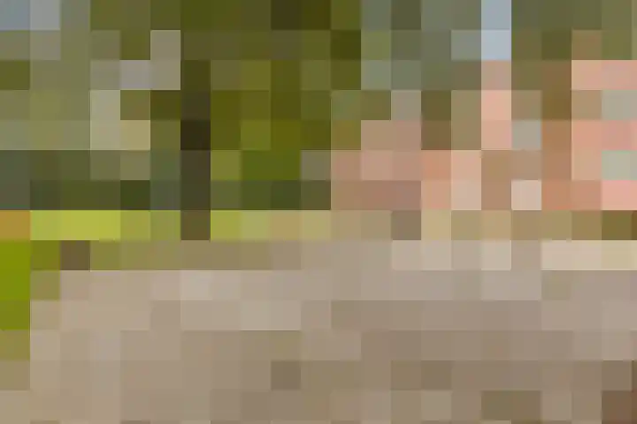 Meeuwenstraat 12 Foxhol thumbnail 35