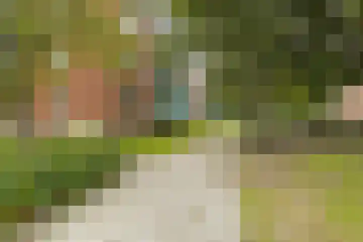 Meeuwenstraat 12 Foxhol thumbnail 36