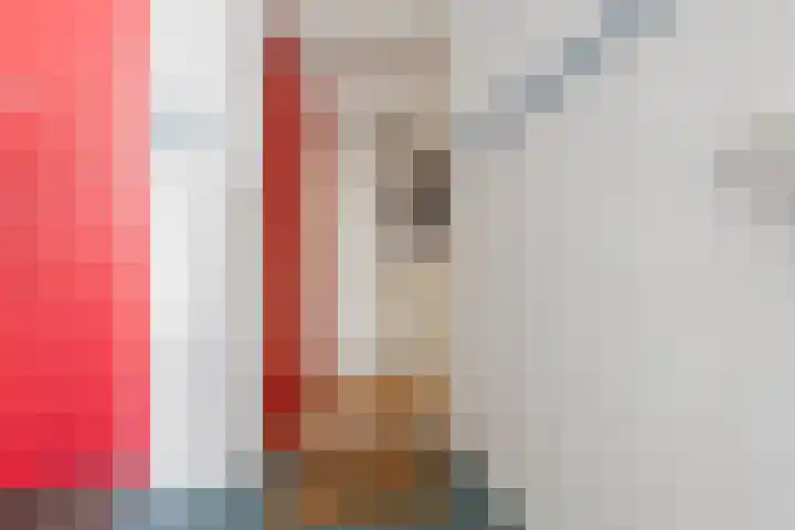 Meeuwenstraat 12 Foxhol thumbnail 7