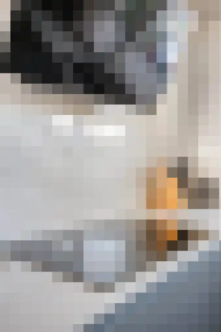 Meeuwenstraat 14 Hoofddorp thumbnail 17
