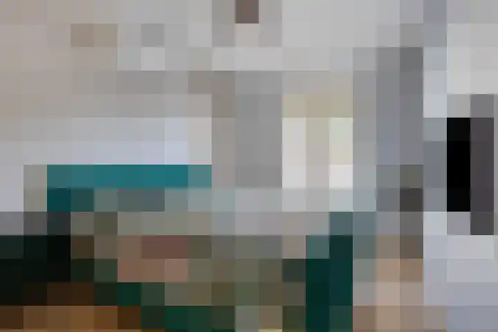 Meeuwenstraat 14 Hoofddorp thumbnail 22