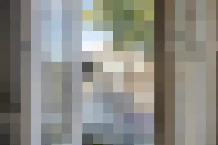 Meeuwenstraat 14 Hoofddorp thumbnail 24
