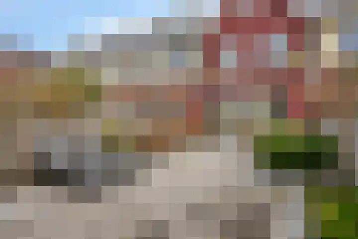 Meeuwenstraat 14 Hoofddorp thumbnail 4
