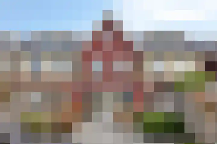 Meeuwenstraat 14 Hoofddorp thumbnail 42
