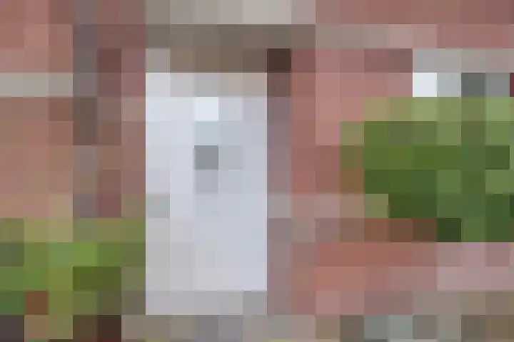 Meeuwenstraat 14 Hoofddorp thumbnail 8