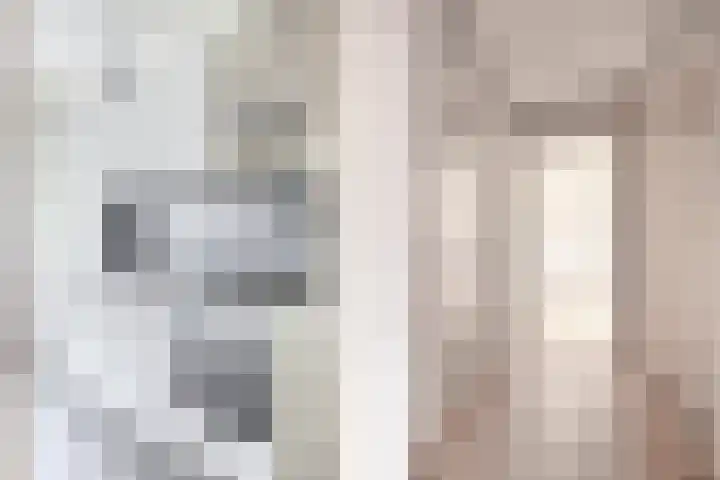 Meeuwenstraat 18 Foxhol thumbnail 12