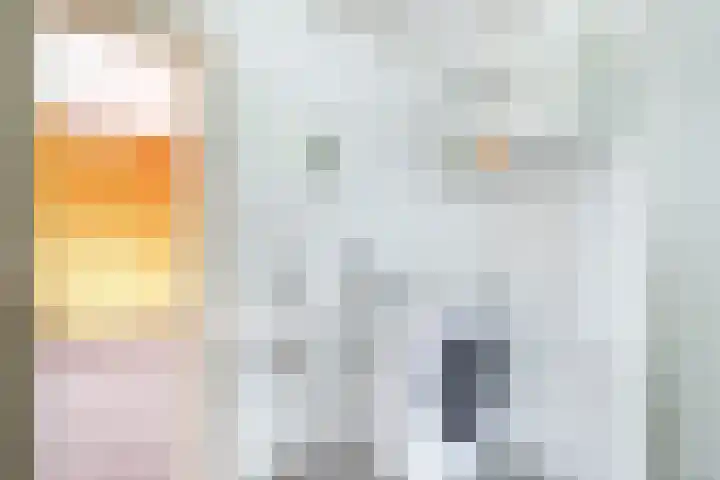 Meeuwenstraat 18 Foxhol thumbnail 21