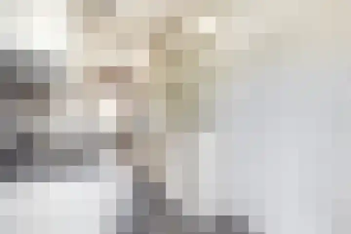 Meeuwenstraat 18 Foxhol thumbnail 23