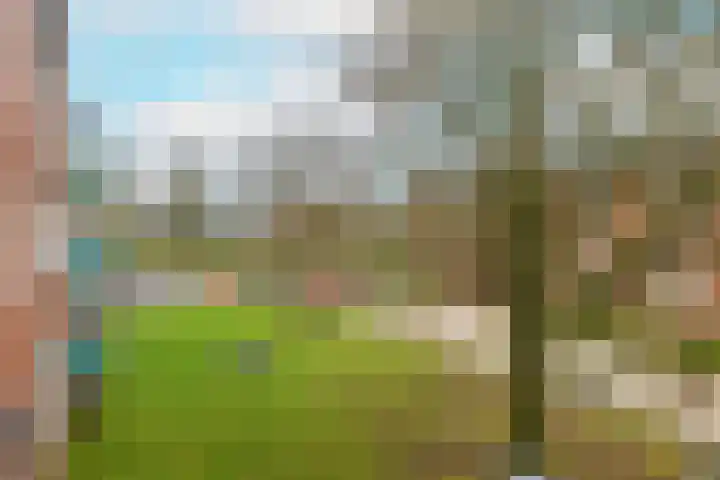 Meeuwenstraat 18 Foxhol thumbnail 31
