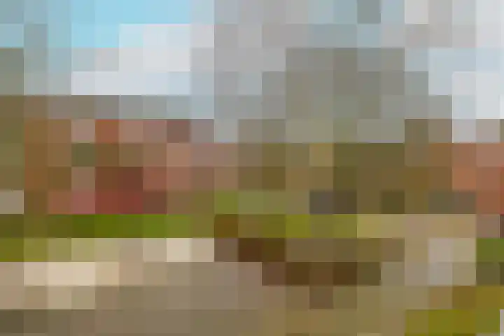 Meeuwenstraat 18 Foxhol thumbnail 32