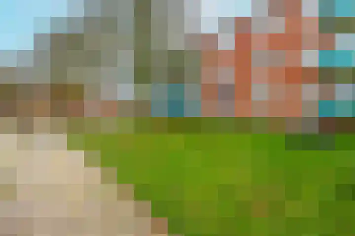 Meeuwenstraat 18 Foxhol thumbnail 37