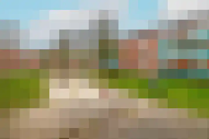 Meeuwenstraat 18 Foxhol thumbnail 38