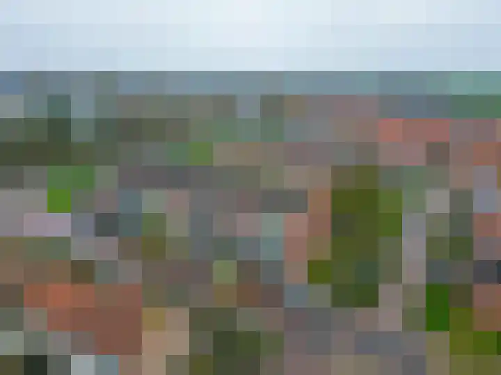 Meeuwenstraat 18 Foxhol thumbnail 41
