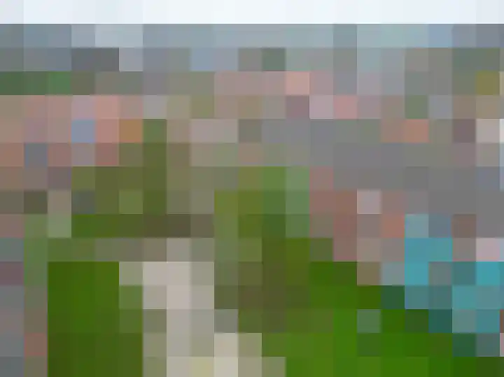 Meeuwenstraat 18 Foxhol thumbnail 42
