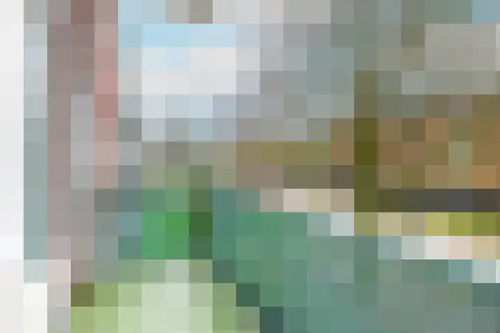 Meeuwenstraat 18 Foxhol thumbnail 5