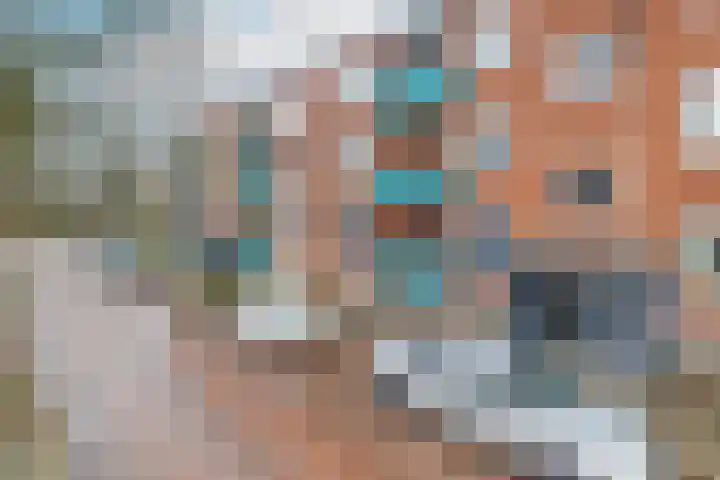 Meeuwenstraat 18 Foxhol thumbnail 6
