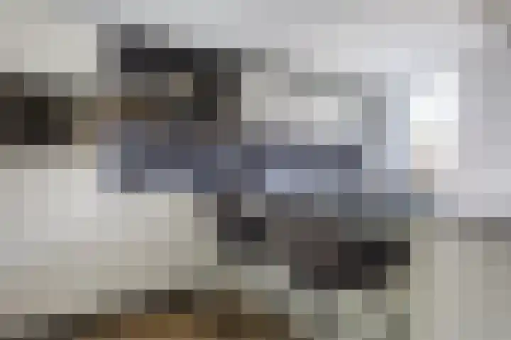 Meeuwenstraat 2 Wijchen thumbnail 10