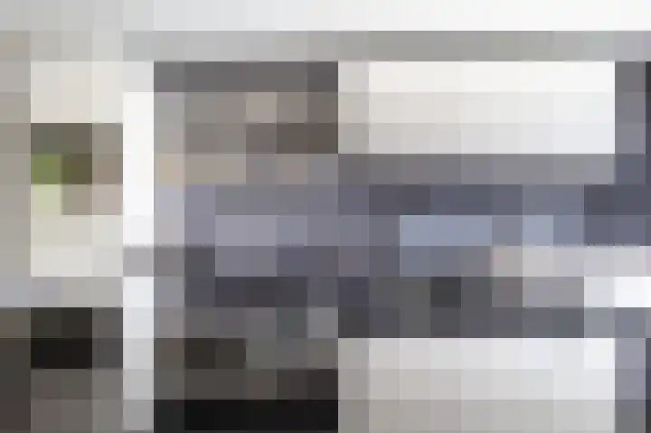 Meeuwenstraat 2 Wijchen thumbnail 12