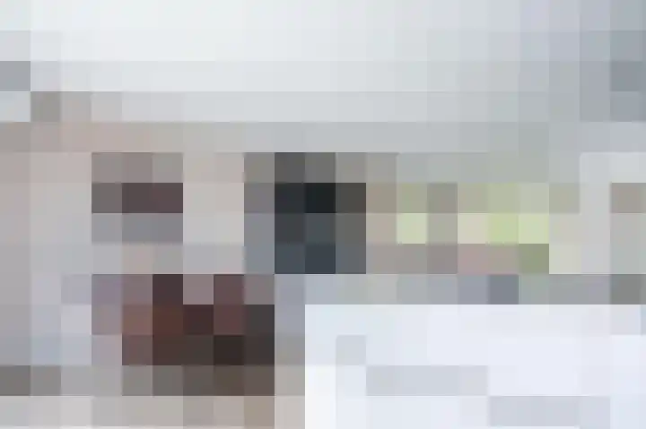 Meeuwenstraat 2 Wijchen thumbnail 13