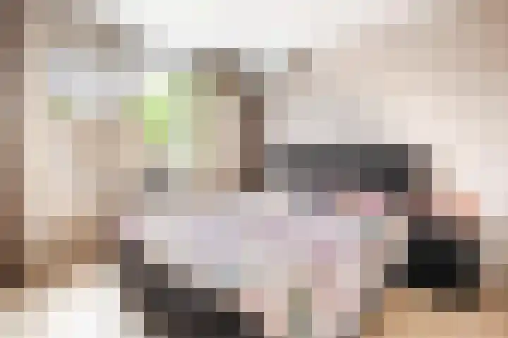 Meeuwenstraat 2 Wijchen thumbnail 16
