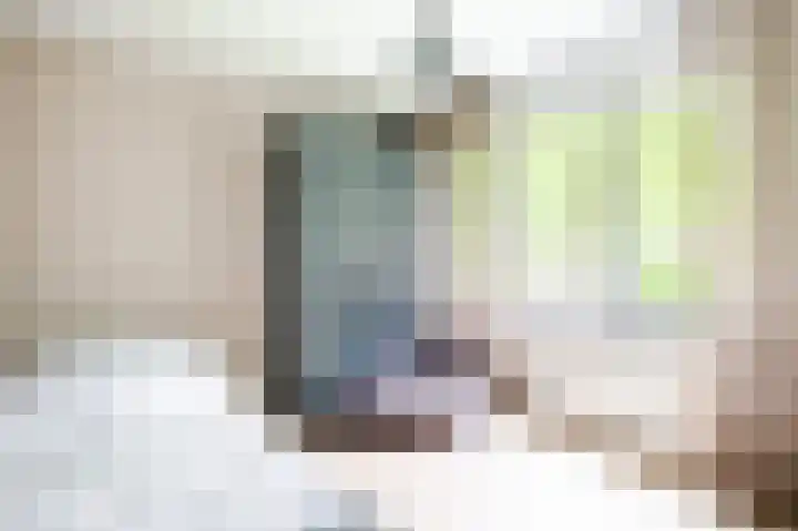 Meeuwenstraat 2 Wijchen thumbnail 18