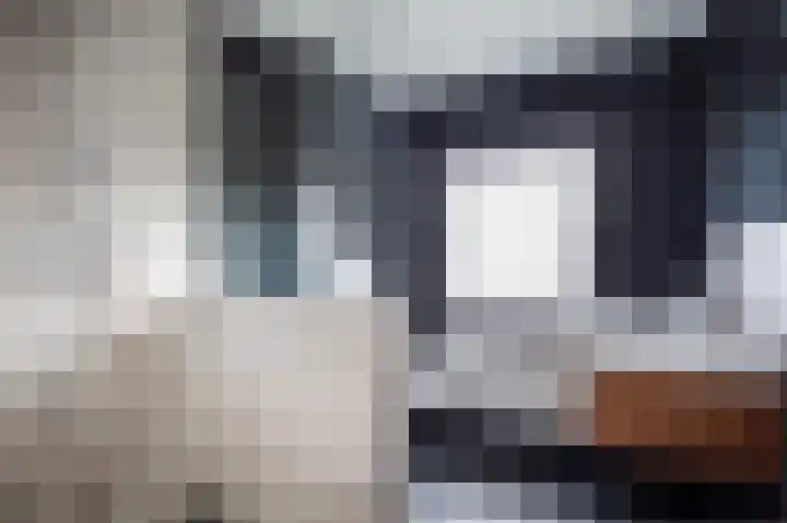 Meeuwenstraat 2 Wijchen thumbnail 22