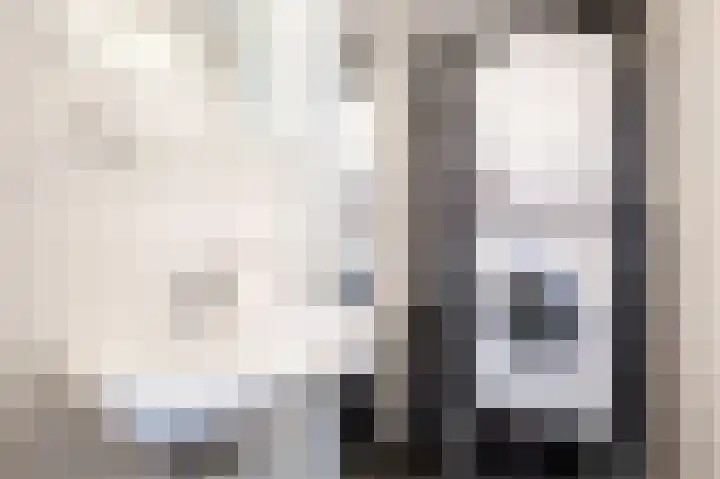 Meeuwenstraat 2 Wijchen thumbnail 28