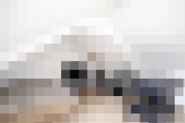 Meeuwenstraat 2 Wijchen thumbnail 29