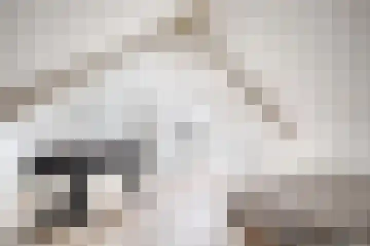 Meeuwenstraat 2 Wijchen thumbnail 30