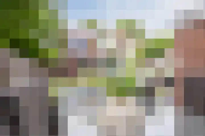 Meeuwenstraat 2 Wijchen thumbnail 33