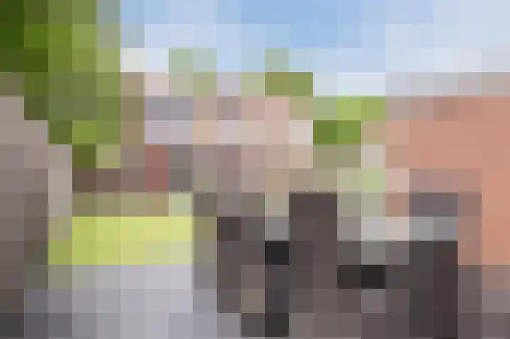 Meeuwenstraat 2 Wijchen thumbnail 34