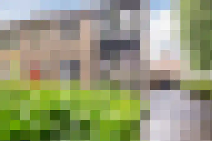 Meeuwenstraat 2 Wijchen thumbnail 35