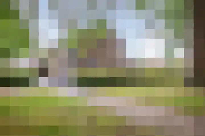 Meeuwenstraat 2 Wijchen thumbnail 36