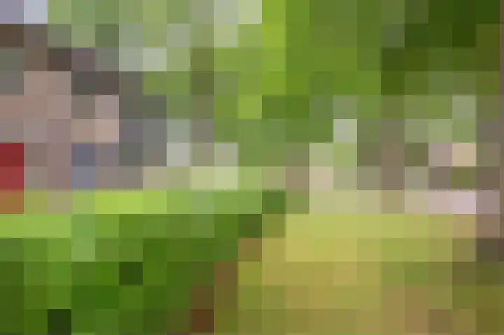 Meeuwenstraat 2 Wijchen thumbnail 37