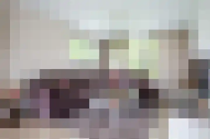 Meeuwenstraat 2 Wijchen thumbnail 4