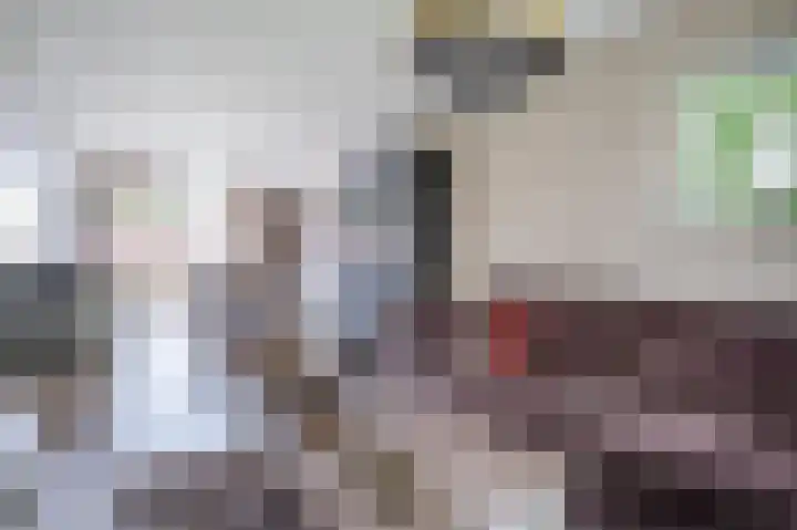 Meeuwenstraat 2 Wijchen thumbnail 5