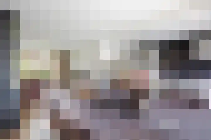 Meeuwenstraat 2 Wijchen thumbnail 6
