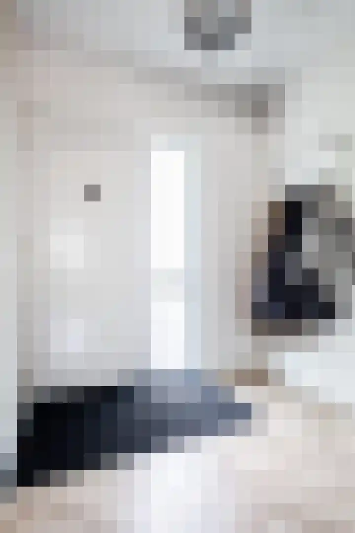 Meeuwenstraat 2 Wijchen thumbnail 7