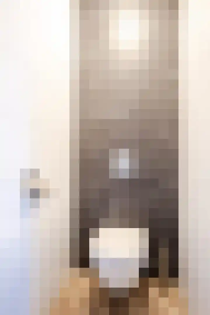 Meeuwenstraat 2 Wijchen thumbnail 8