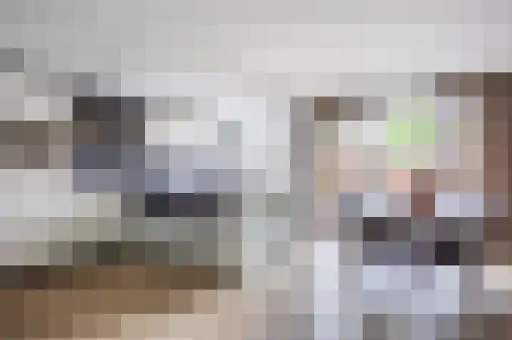 Meeuwenstraat 2 Wijchen thumbnail 9