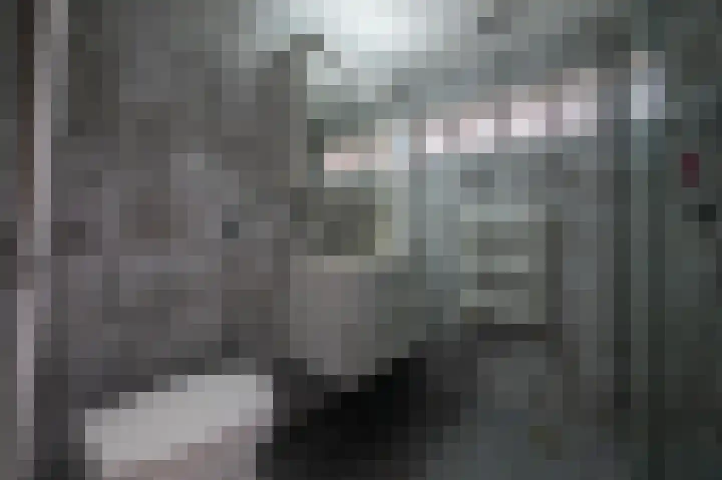 Meeuwenstraat 21 Amersfoort thumbnail 11