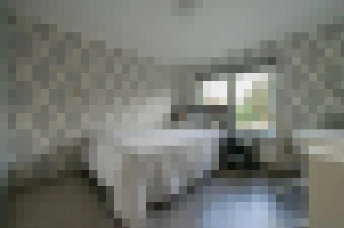 Meeuwenstraat 21 Amersfoort thumbnail 15