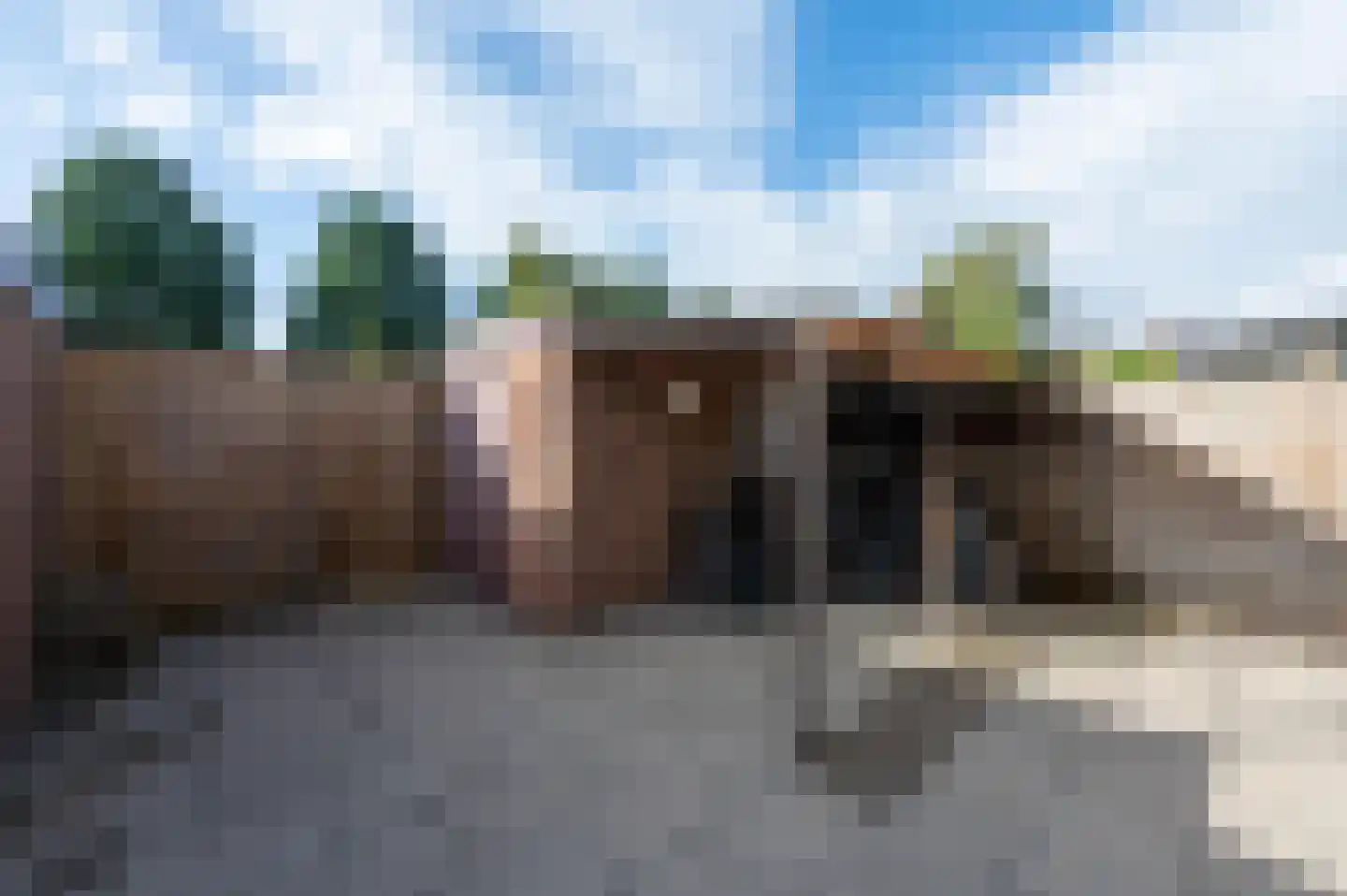 Meeuwenstraat 21 Amersfoort thumbnail 24