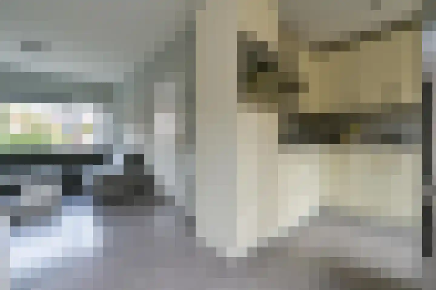 Meeuwenstraat 21 Amersfoort thumbnail 7